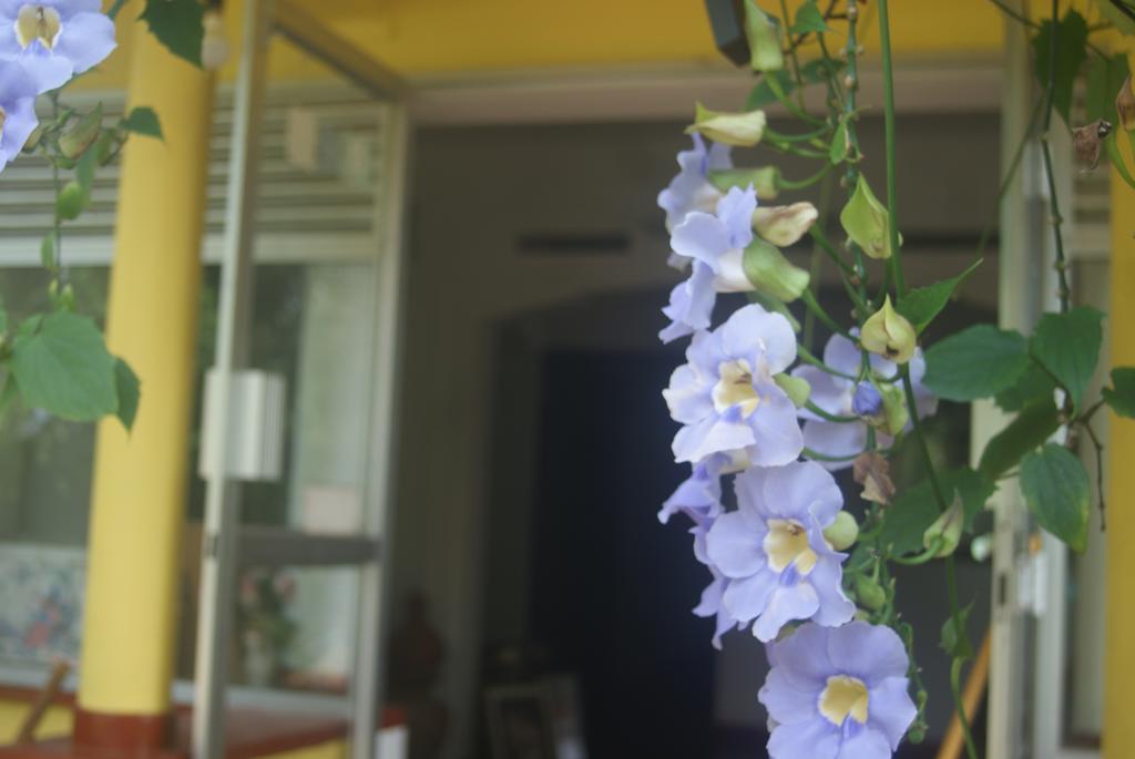 Ananda Home Stay And Restaurant Tangalle Exterior foto
