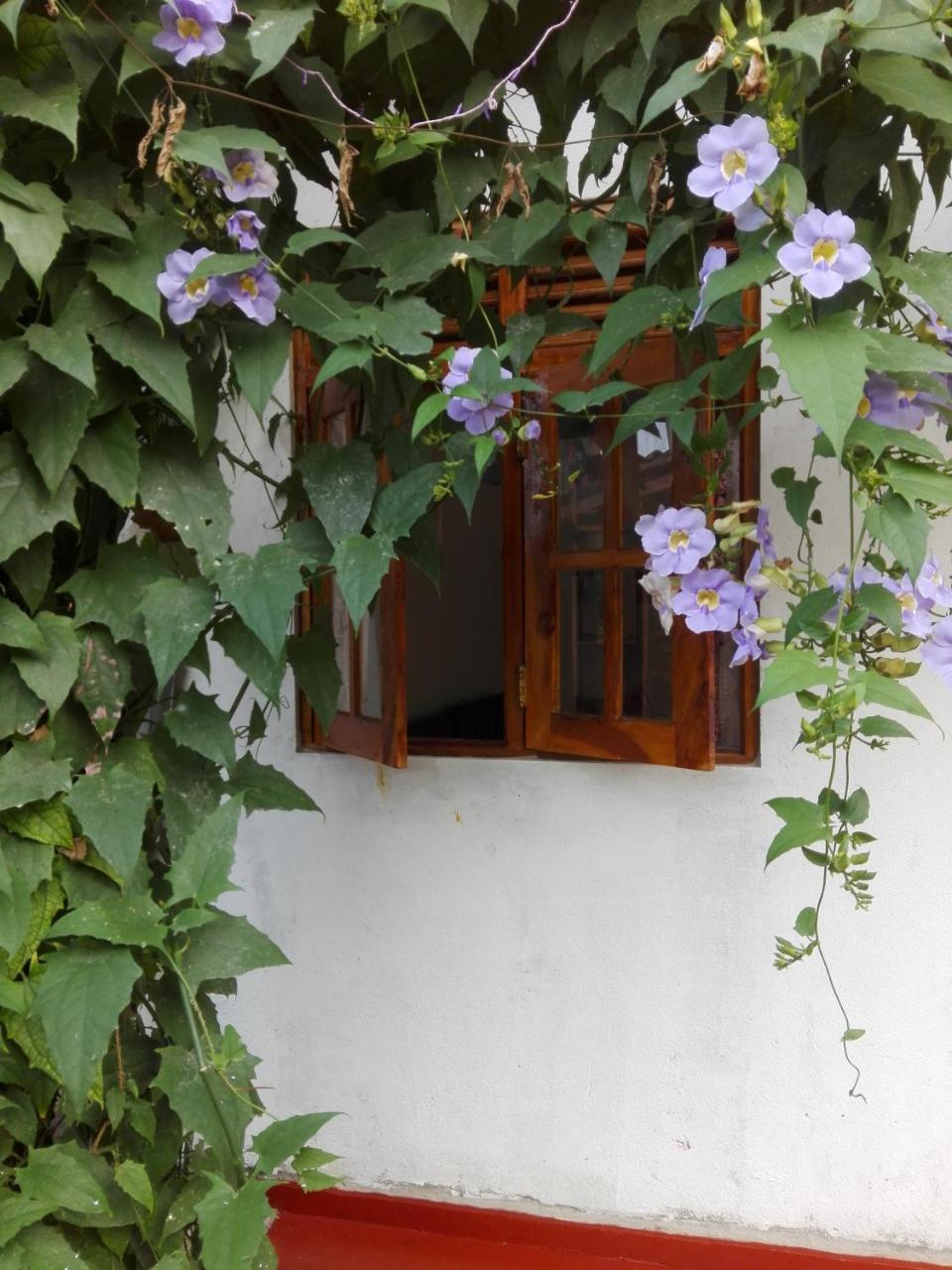 Ananda Home Stay And Restaurant Tangalle Exterior foto